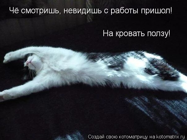 Пришел или пришол. Пришел или пришол