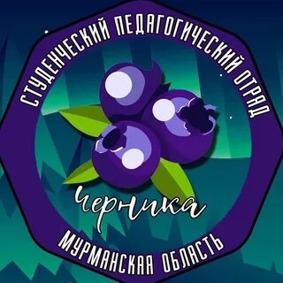 Черника тюмень