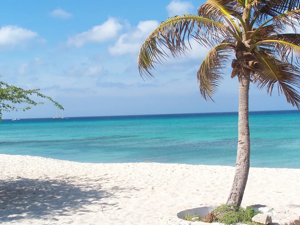 Your beach