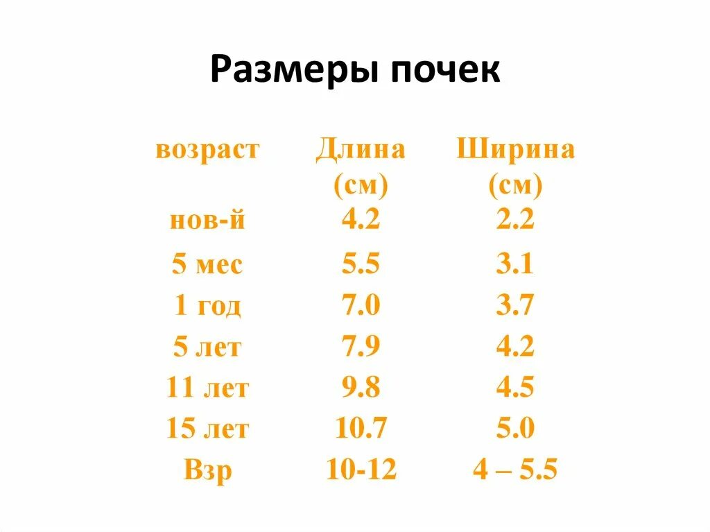 Размер почек у взрослых мужчин. Размеры почки в норме по УЗИ У мужчин. Размеры почки в норме по УЗИ У женщин. Размеры почек у взрослого человека в норме по УЗИ. Размер почек у человека норма.