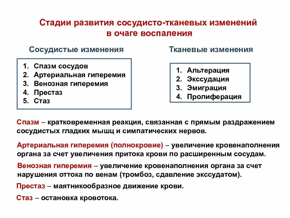 4 стадии изменений. Стадии сосудистых изменений. Стадии тканевых изменений. Сосудистые реакции в очаге воспаления. Гиперемия стадии развития.