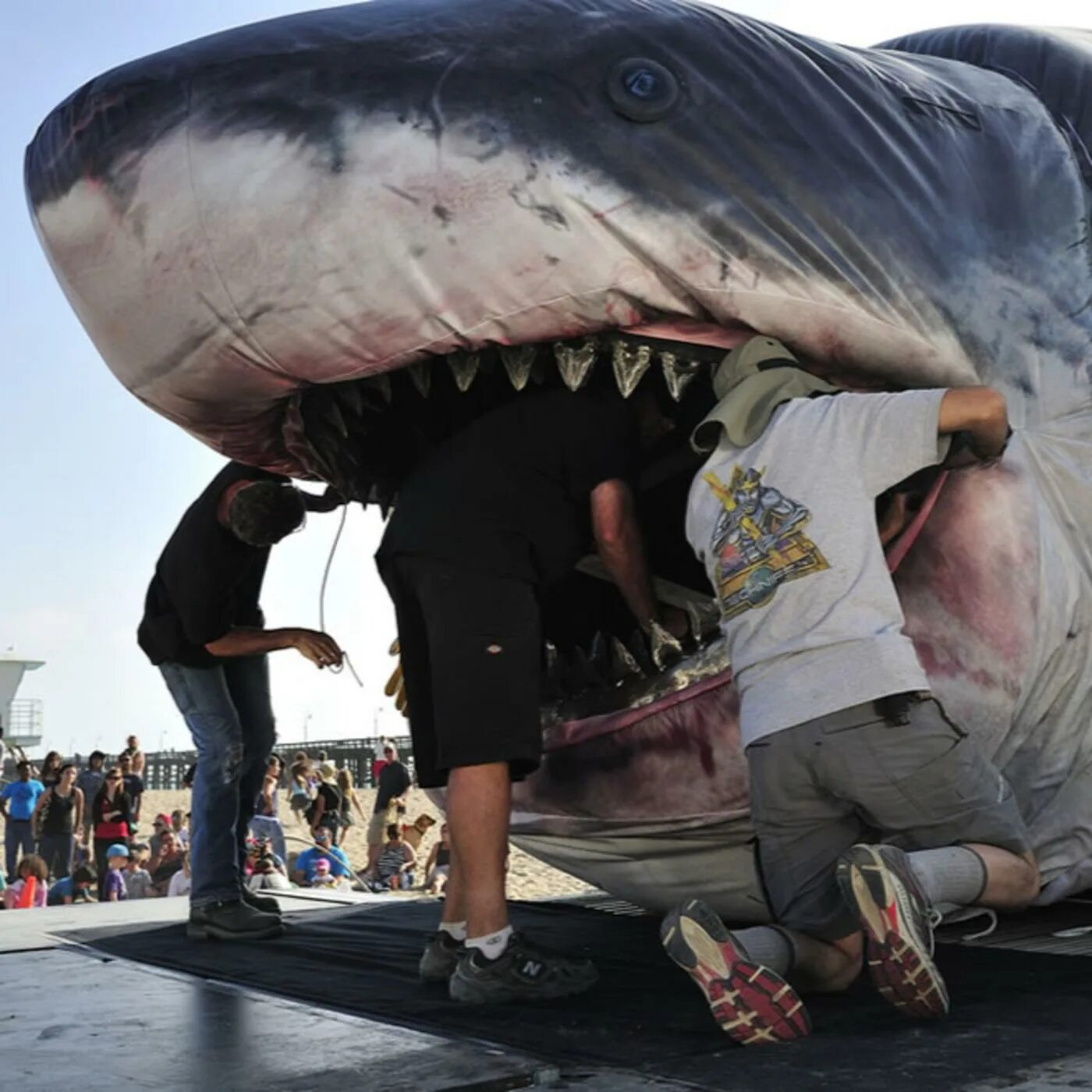 Акула-монстр МЕГАЛОДОН жив. Нападение акулы МЕГАЛОДОН. Самая большая акула на земле. Самая большая акула и человек.