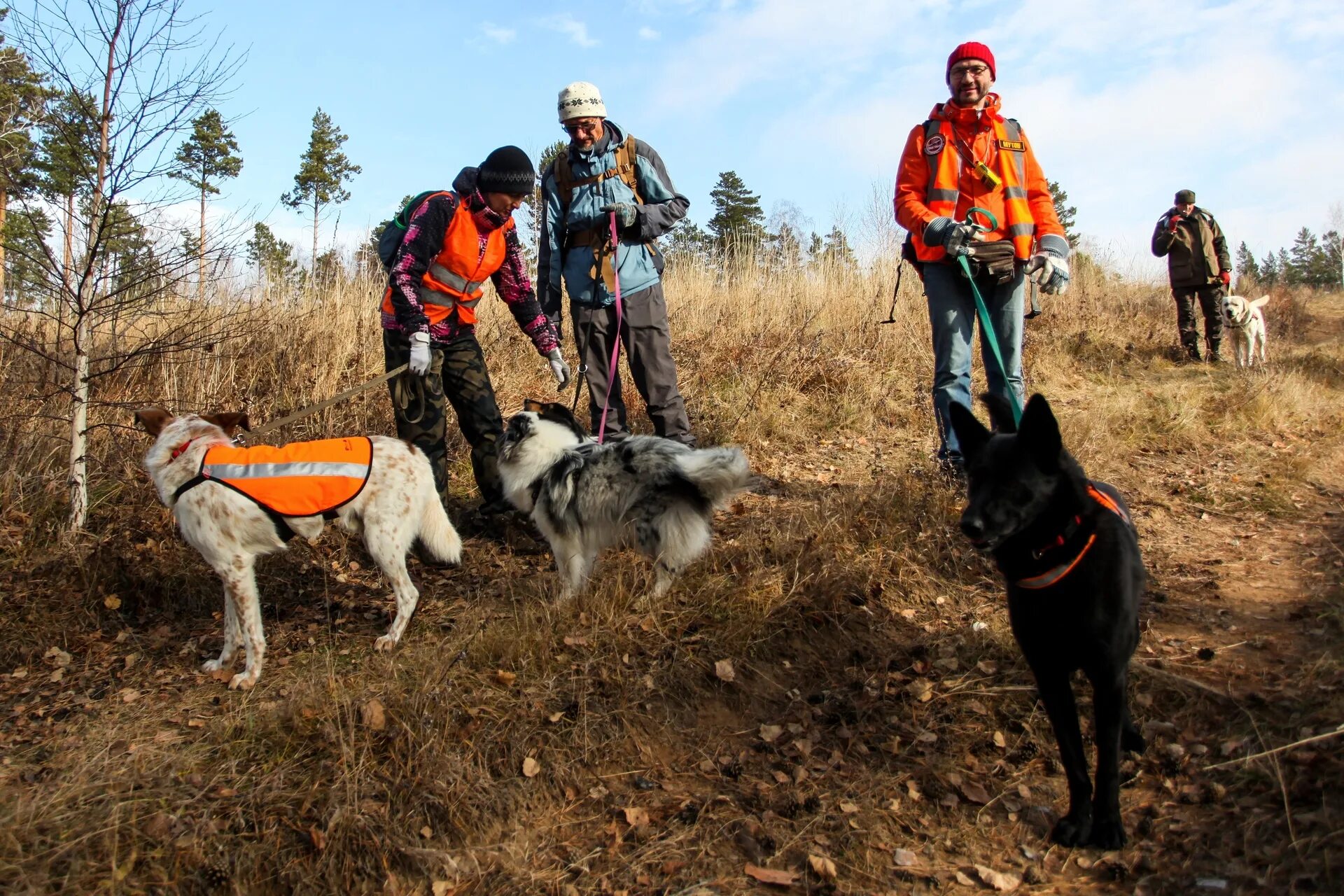 Работа следопытом. Следопыты раевский. Следопыт фото. Компьютерная игра следопыты. Работа следопытом.