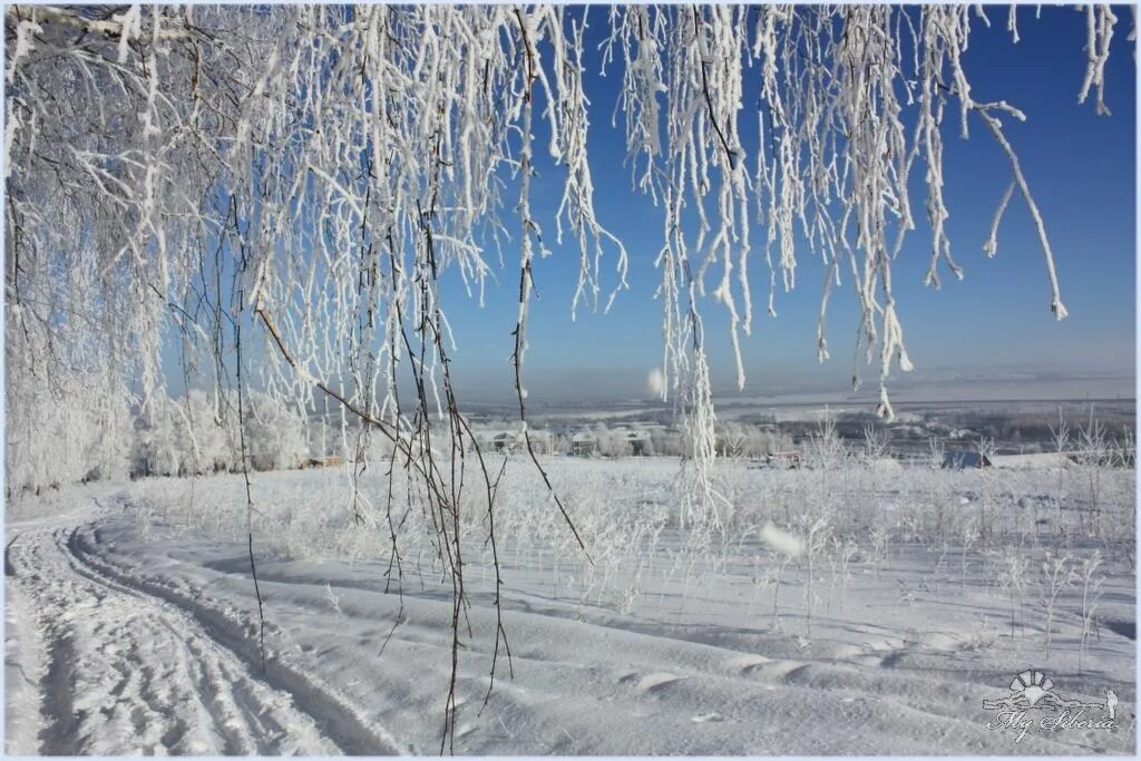 Погода родники шарыповский. Вязники зима. Природа Россошанского района зимой. Самые красивые места Лысогорского района зимой. Марьяновка зима.