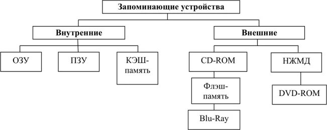 Виды памяти и их примеры носителей Салимоненко Д.А.