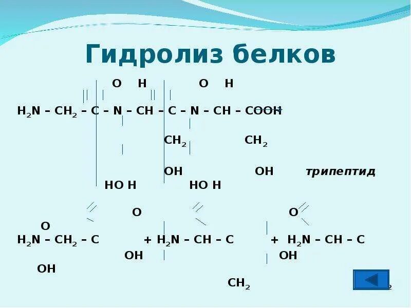 Гидролиз белков происходит. Гидролиз белков уравнение реакции. Гидролиз схема. Гидролиз белков схема. Гидролиз белка формула.