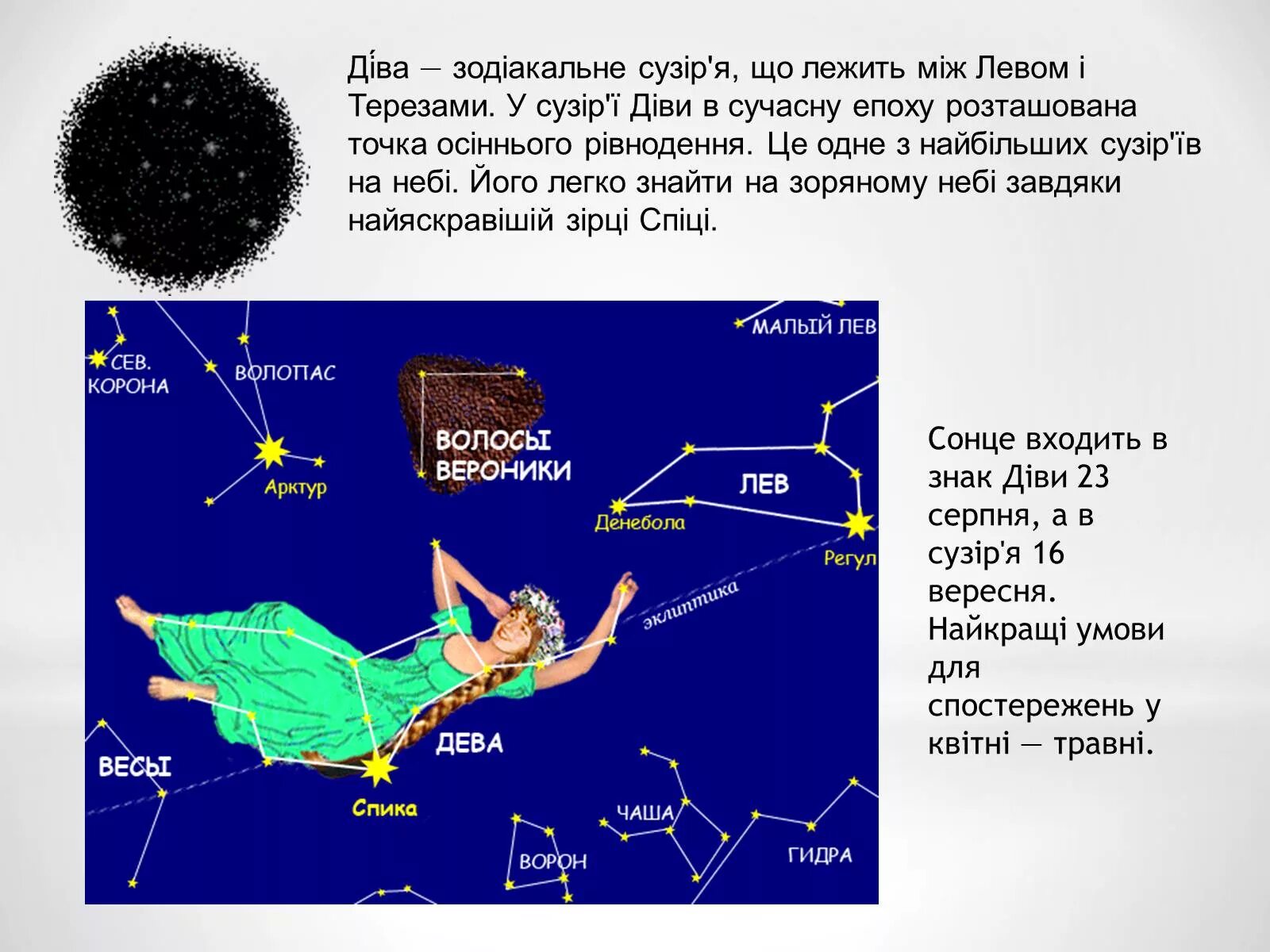 Созвездие весеннего неба дева. Весенние созвездия. Рассказ о созвездии весеннего неба Дева. Созвездие Дева краткое описание.