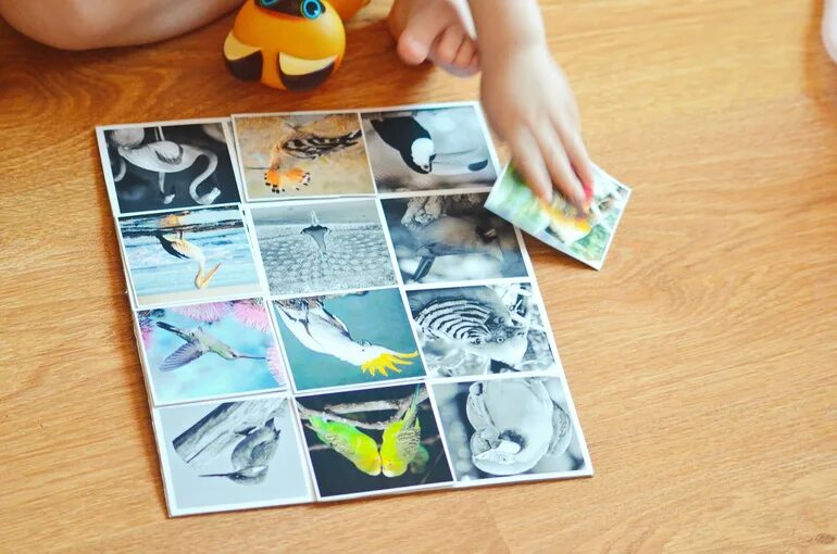 Птицы Мемори для детей. Игра Мемори птицы для дошкольников. Карточки Мемори для детей. Мемори своими руками для детей. Мемори ребот