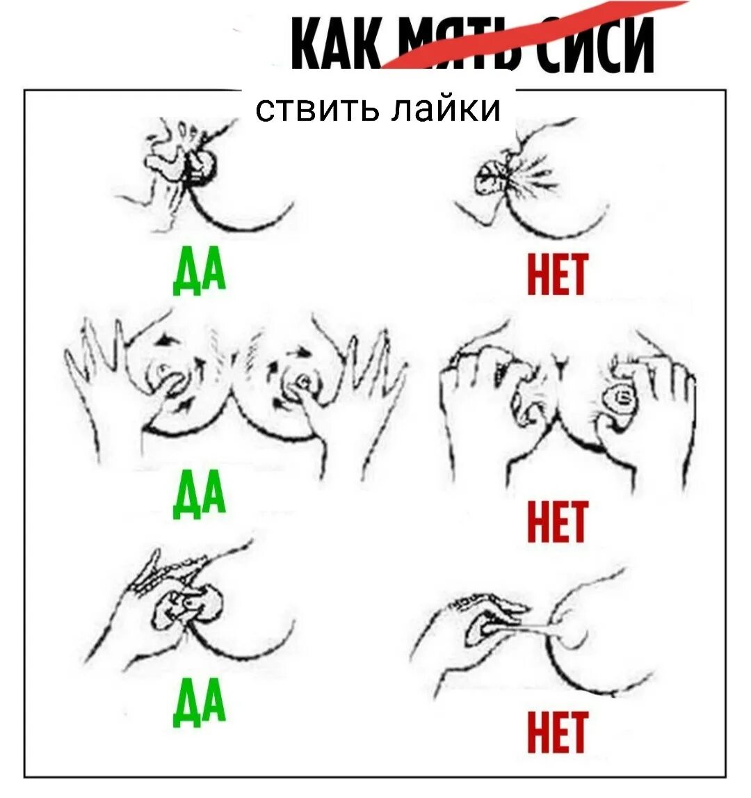 Цитаты про грудь. Вас ждут сись. Кстати узнаешь