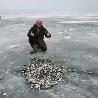 Ловля на финском заливе