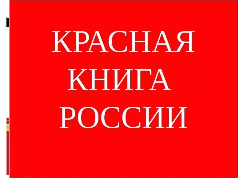 Красная книга обложка. Красная книга обложка. Красная книга обложка. Обложка красной книги ро. Надпись красная книга.