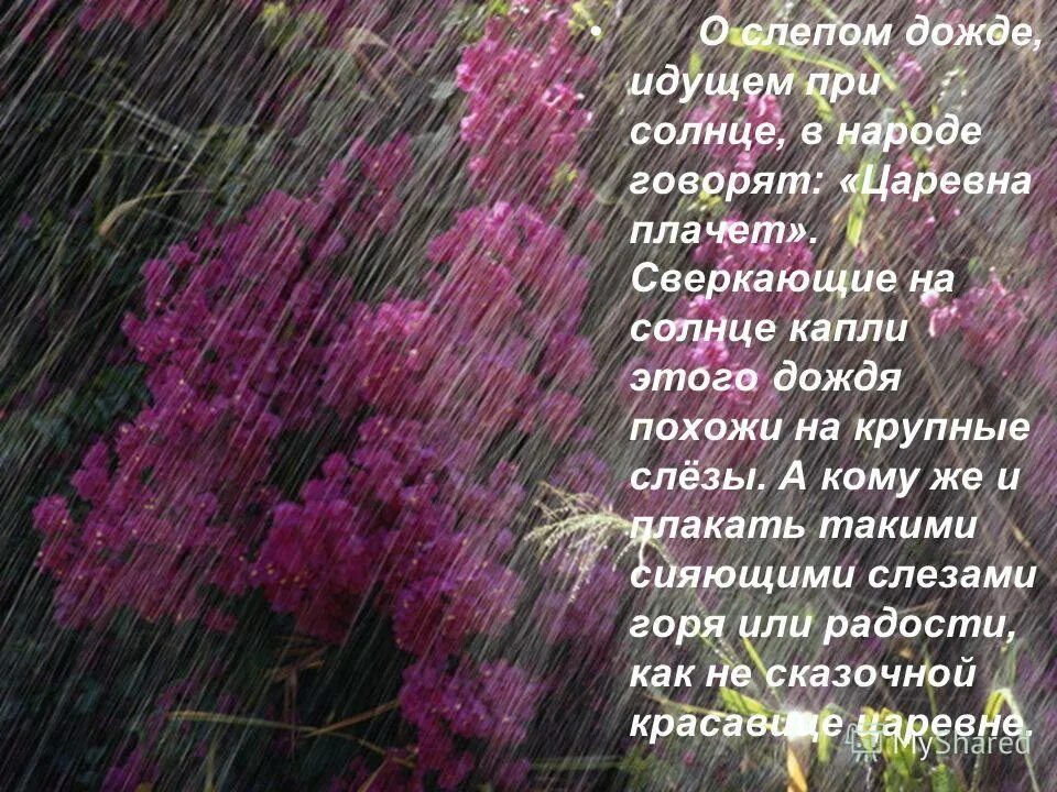 Рассказ о слепом Дожде. Описание дождя. Стихотворение про слепой дождь. Произведения про слепой дождь.