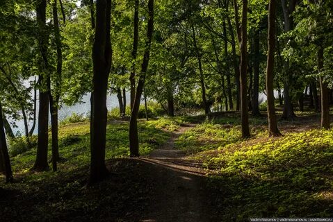 Парки тульская область