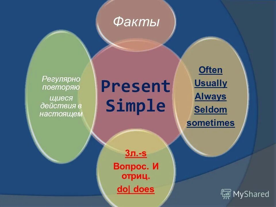 Present simple fact. Present simple факты. Present simple always usually often. Present simple seldom always. Present simple always usually often sometimes.