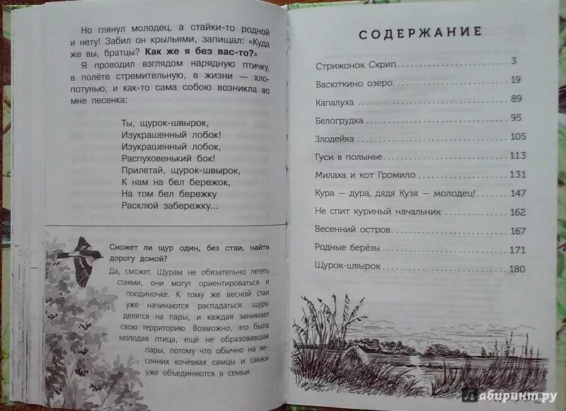 Описание природы в рассказе весенний остров. Астафьев весенний остров. астафьев васюткино озеро количество страниц. весенний остров план астафьев. астафьев весенний остров сколько страниц.