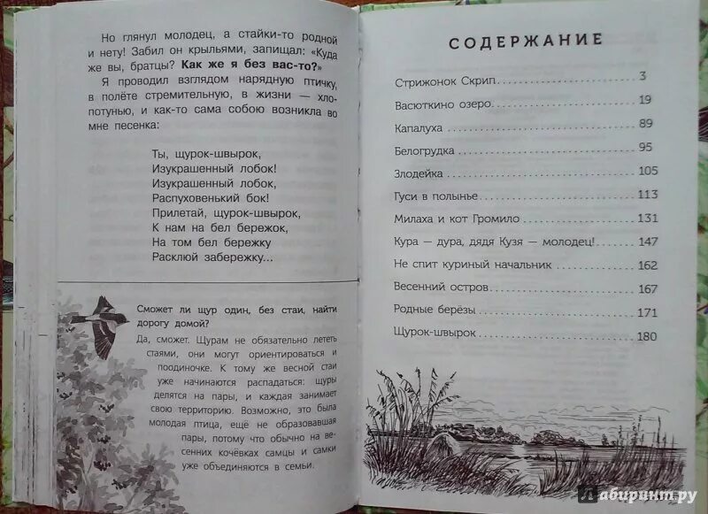 Сказка весенний остров. Книга Астафьев весенний остров. В Астафьев рассказ весенний остров. Рассказ Астафьева весенний остров.