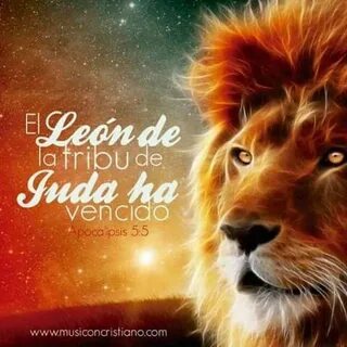 De leon