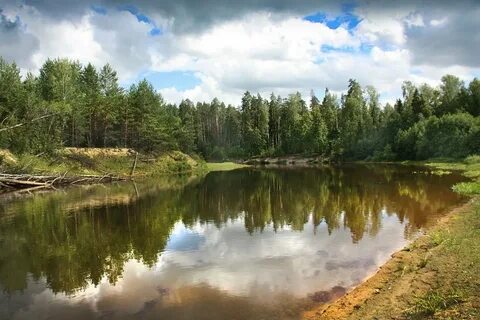 Борский керженец