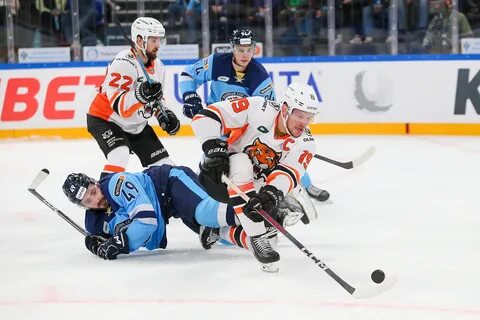 Кхл сибирь амур