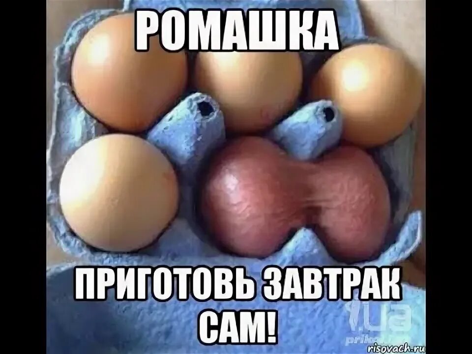 Литвин с одним яйцом мем фото ФАС начала проверку крупных торговых сетей из-за цен на куриные яйца В нескольки