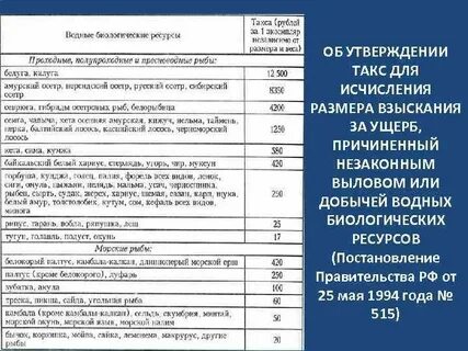 Такса для исчисления размера вреда