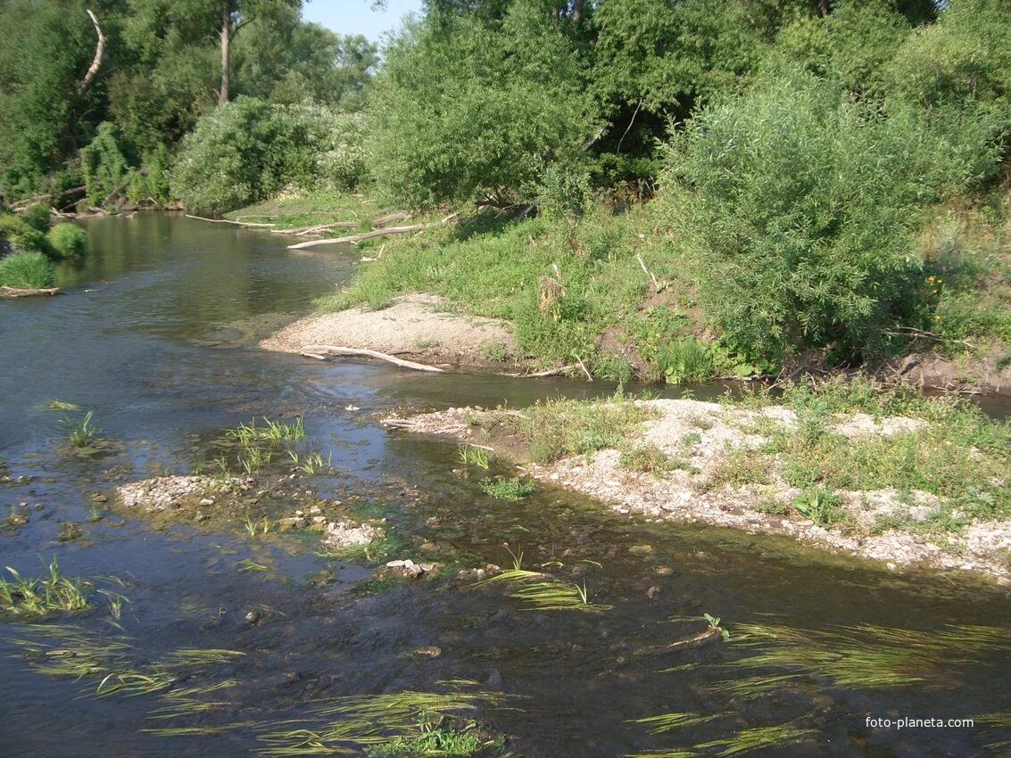 Кафе село соковка оренбургская область. Погода в соковке. Сайт администрации северного района оренбургской области. Река сок сергиевский район. Село соковка.