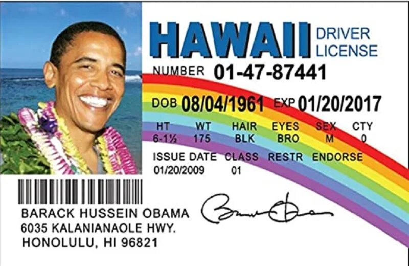 Mclovin driver license. Mclovin driver license. Drive license hawai. Hawaii driver license. Hawaii driver license mclovin.