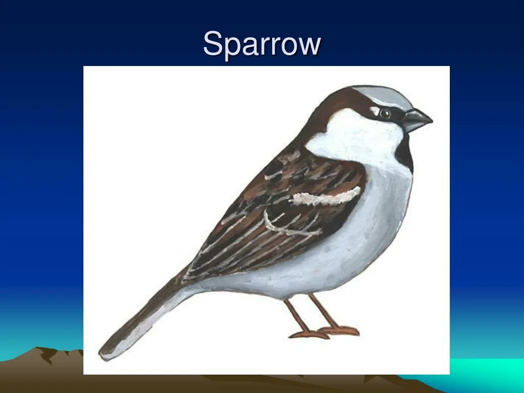 маска дятла детская. маска дятла на голову. плакат вырубной снегирь. маски для детей зимующие птицы. зимующие птицы сорока.