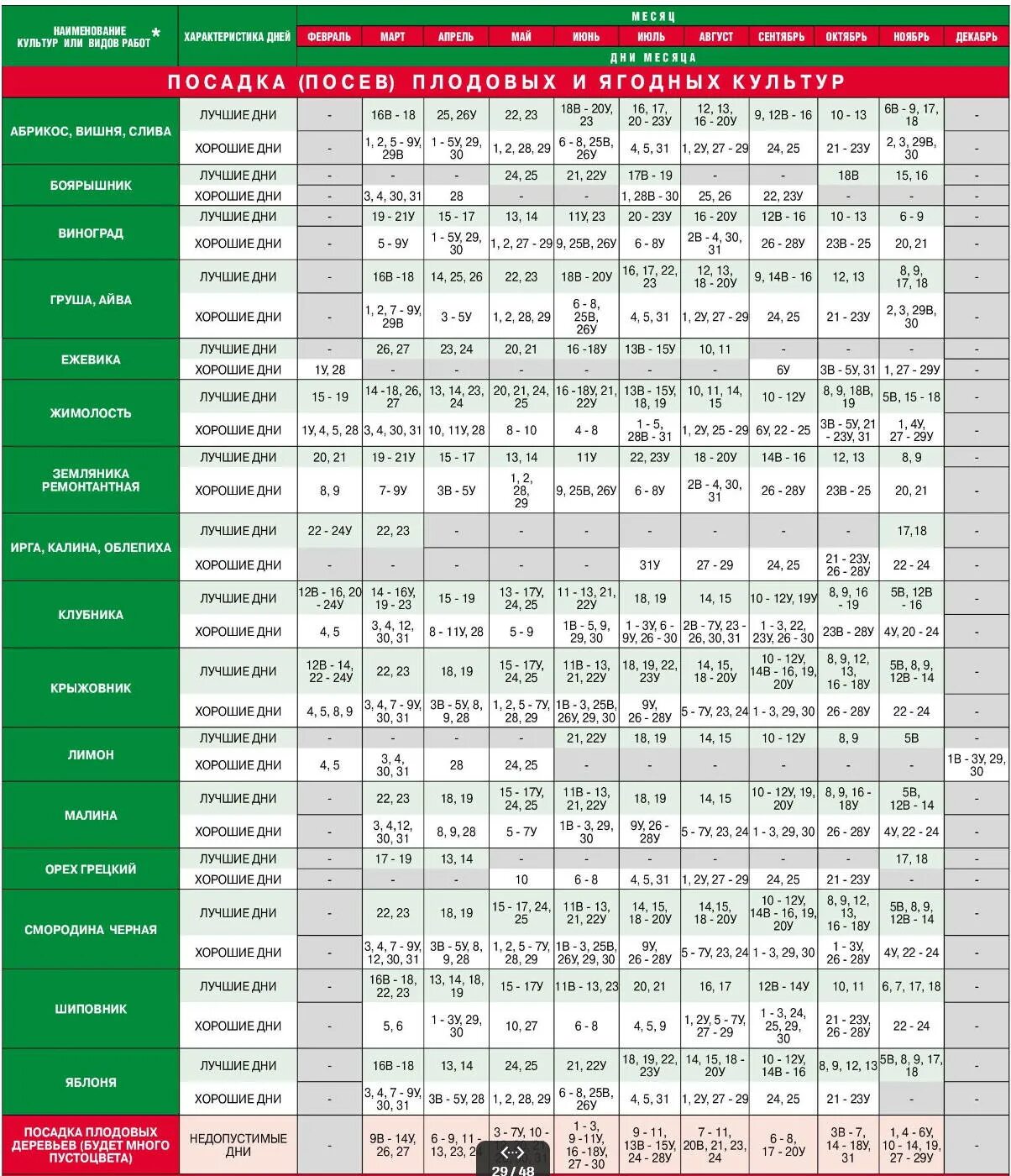 адениума месяц пикировка. семена бай каталог осень 2020. посев бай интернет магазин семена. посев бай интернет магазин семена. алиссум биг джем семена.