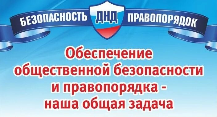 День добровольной народной дружины. ДНД добровольная народная дружина. День народной дружины. Добровольная народная дружина картинки. День добровольных народных дружин.