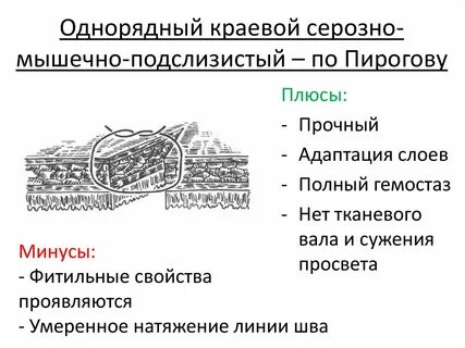 Серозный мышечный слой