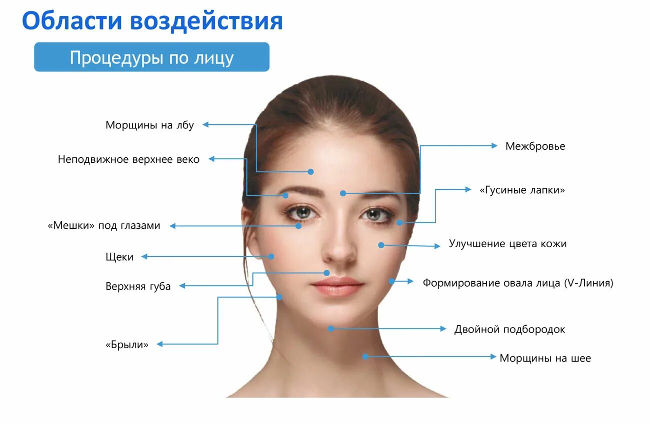 Где у человека лоб. Области лица названия. Название мест на лице. Название лиц. Части лица.