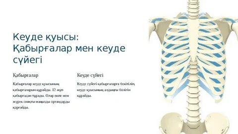 Қыздармен порно