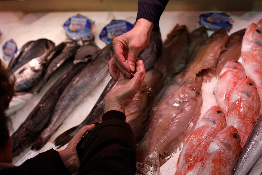 Рыба без холодильника сколько. Магазин рыбный Снежногорск. Рыбный магазин в порту Мурманска. Рыба из Мурманска.