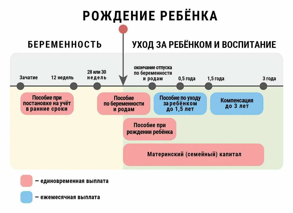 В какой срок со