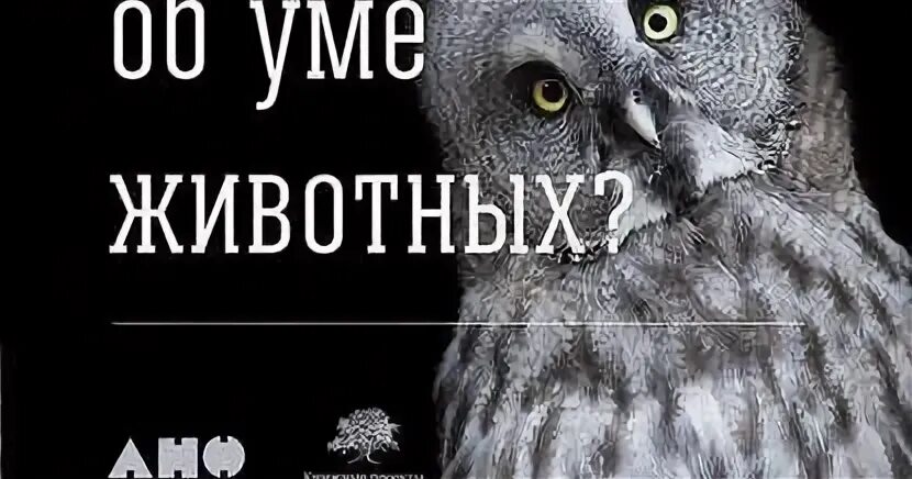 Франс де вааль книги. Д Франс де Вааль книги. Достаточно ли мы умны чтобы судить об уме животных. The Ape and the sushi Master Франс де Вааль книга.