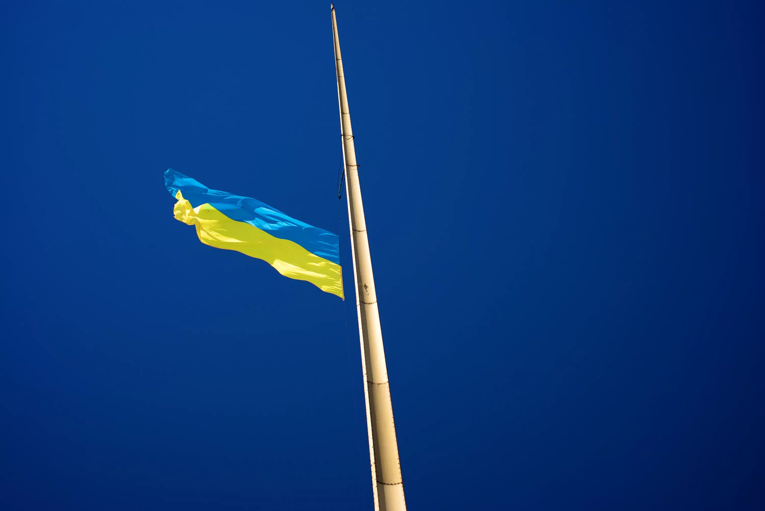 Флаг википедия. Флаг украины. флагшток украины. флаг украины на флагштоке. флаг украины обои.