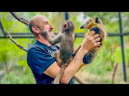 Люська и компания тайган дзен