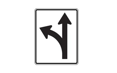 Go straight home