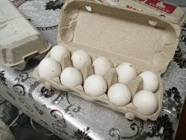 Яйца отборные домашние. Продаются яйца домашние куриные 90 рублей 10 штук. Продаю яйца куриные 100р. Сколько стоит 10 штук яиц.
