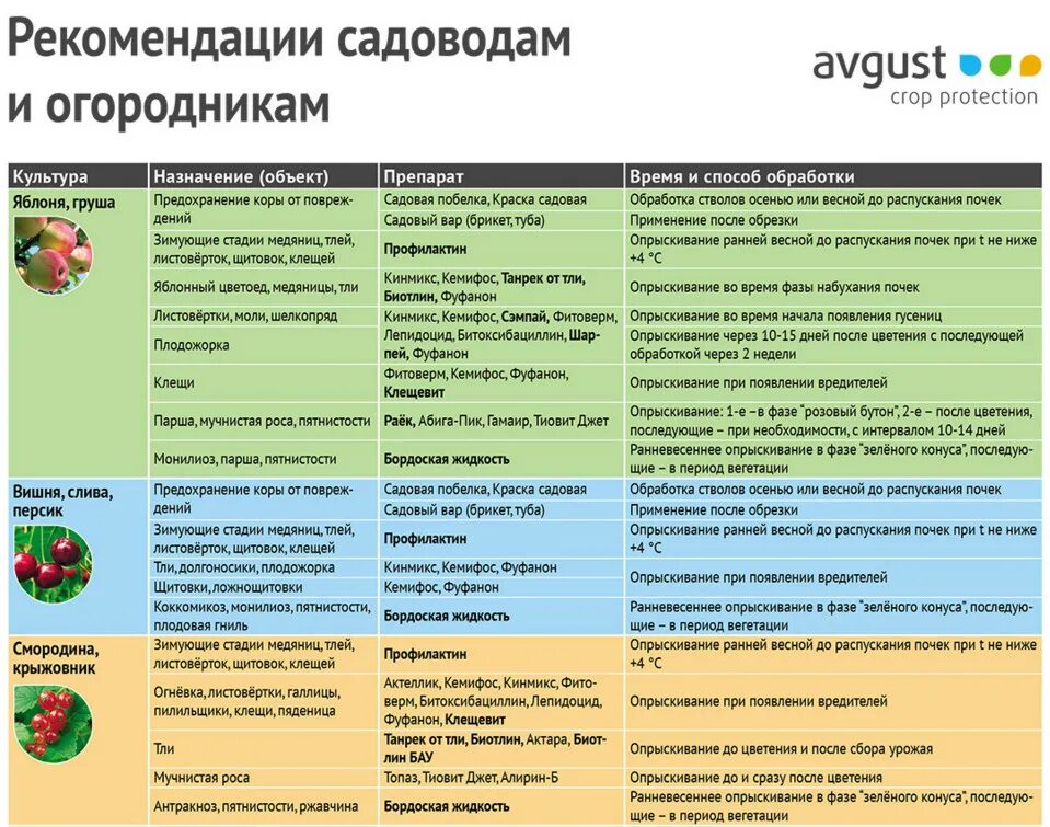 В какую погоду опрыскивать деревья