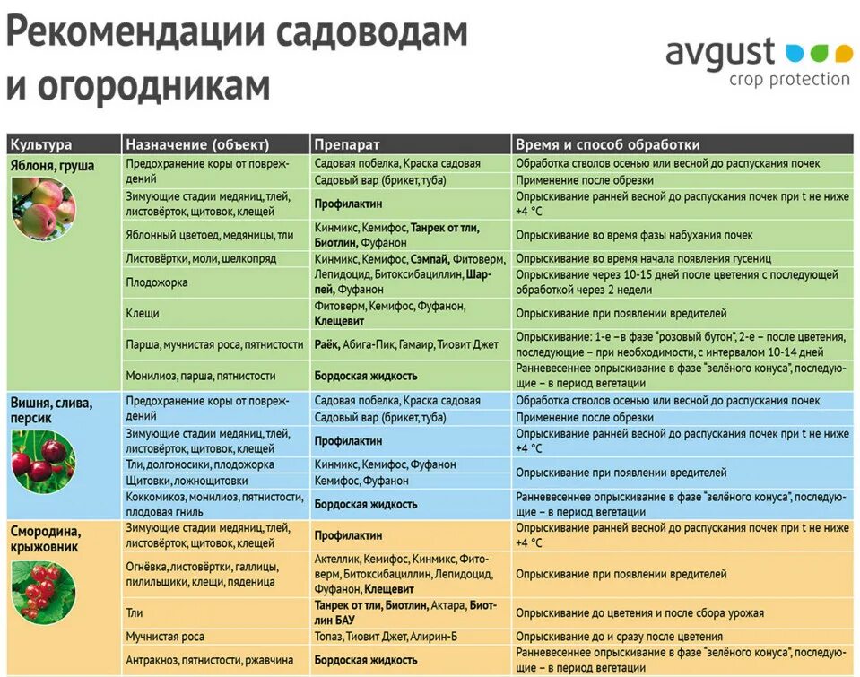 Чем опрыскивать хвойные. Таблица обработки сада от вредителей и болезней весной. Весенняя обработка садовых деревьев от вредителей и болезней. Весенняя обработка сада от болезней и вредителей таблица. Средство для обработки сада весной от вредителей и болезней.