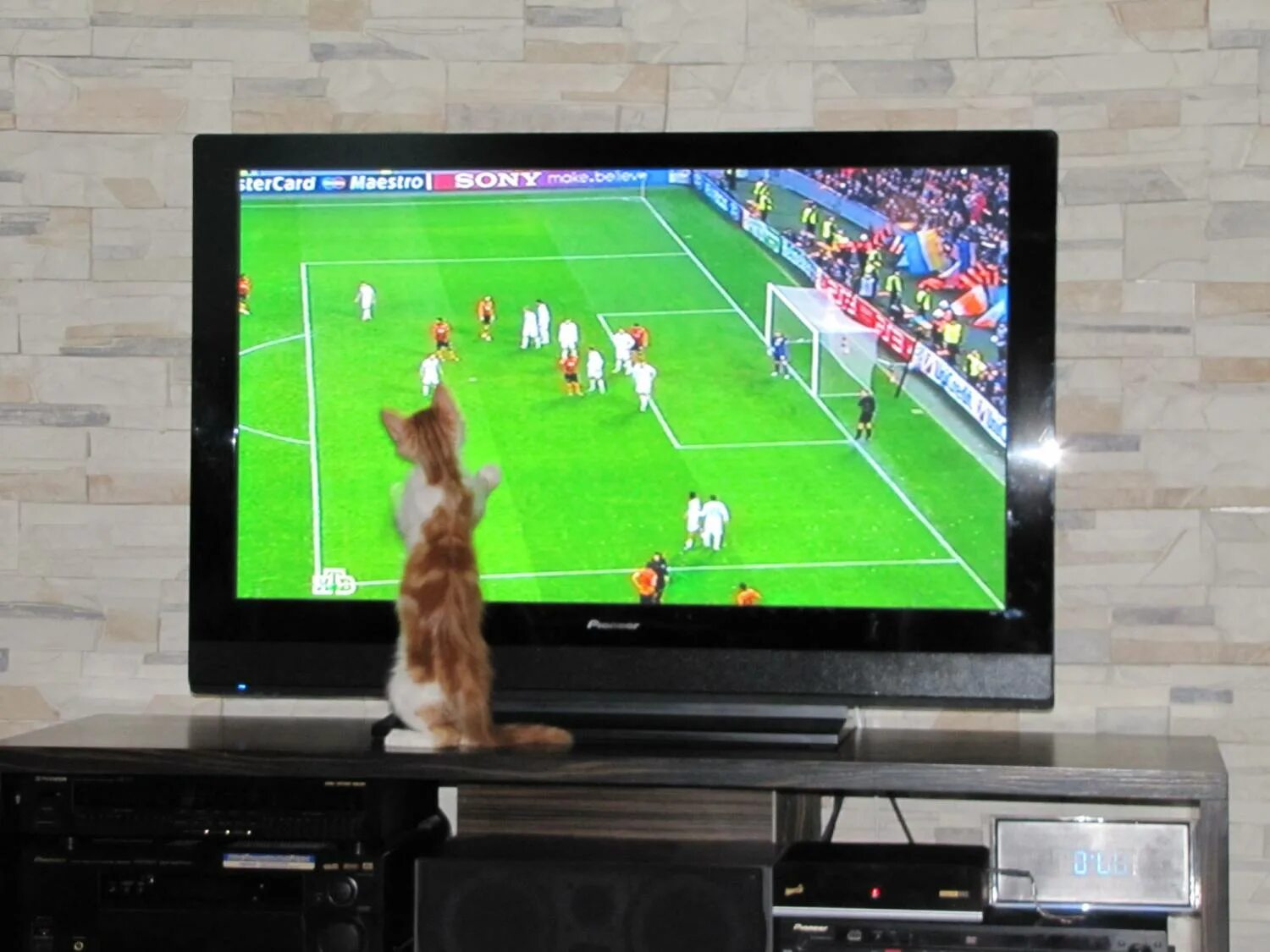 покажи спорт тв. телевизор футбол. болельщики у телевизора. покажи спорт тв. режиссер спортивной трансляции.