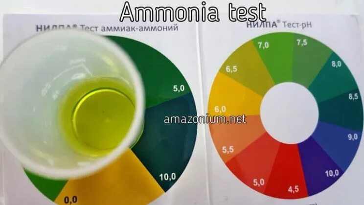 Тест на аммиак в аквариуме нилпа. Аммиак в аквариуме. Средство для уменьшения аммиака в аквариуме. Азотистый цикл в аквариуме. Аммиак в природе.