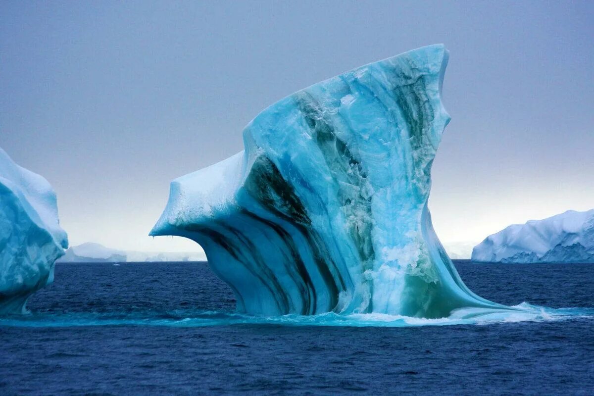 Море Уэдделла в Антарктиде. Море Уэдделла ледник. Море Уэдделла айсберги. Море Уэдделла моря Южного океана.