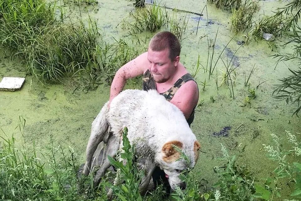 Мужчина спас собаку