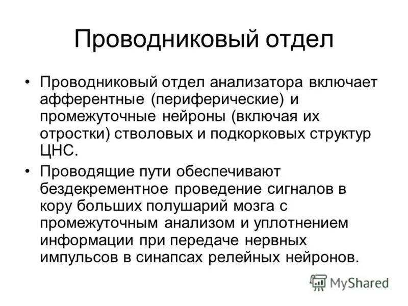 Проводниковый отдел анализатора состоит