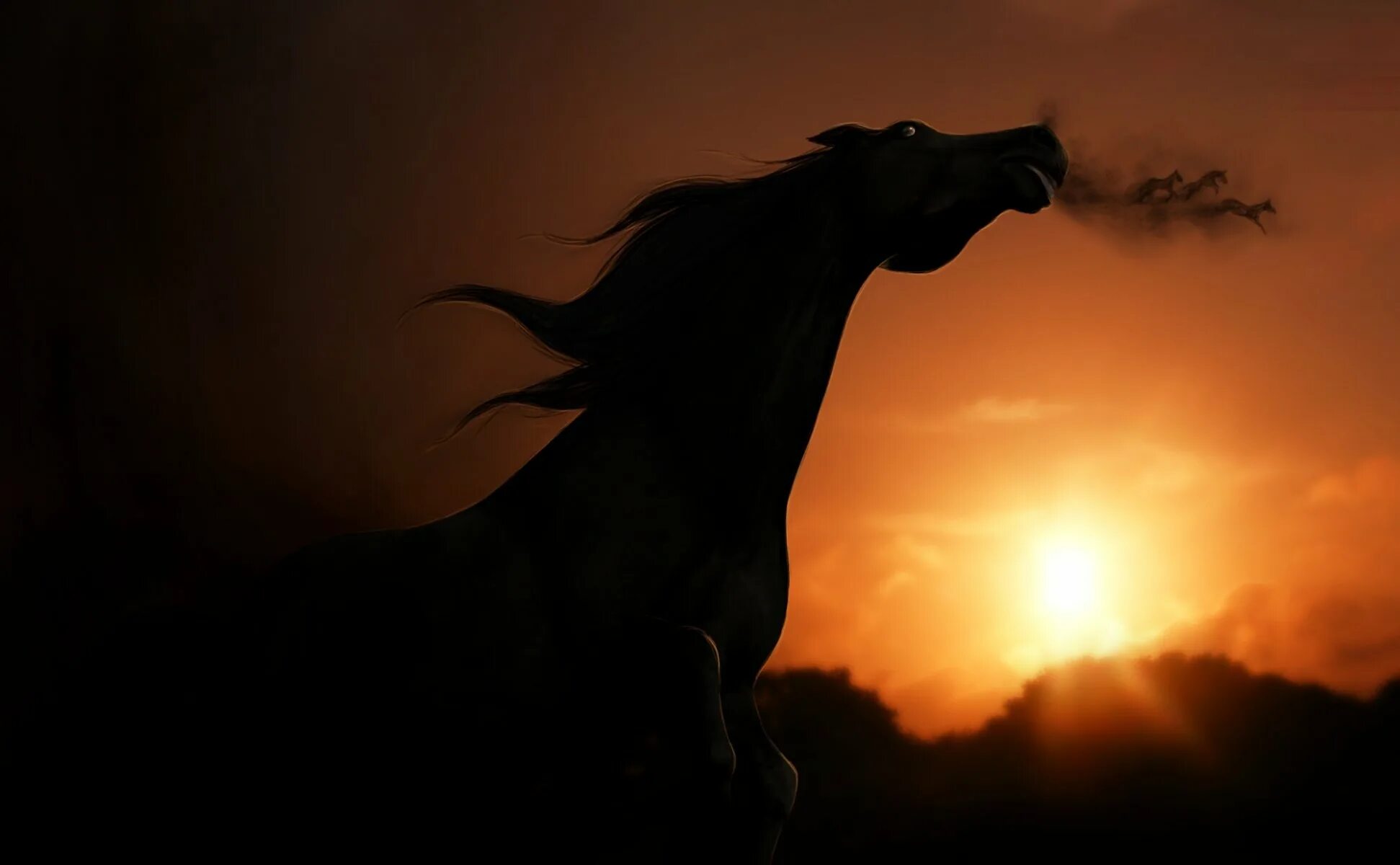 Лошадь в темноте. Черный конь. Лошадь на темном фоне. Конь на закате. Конь на фоне заката.