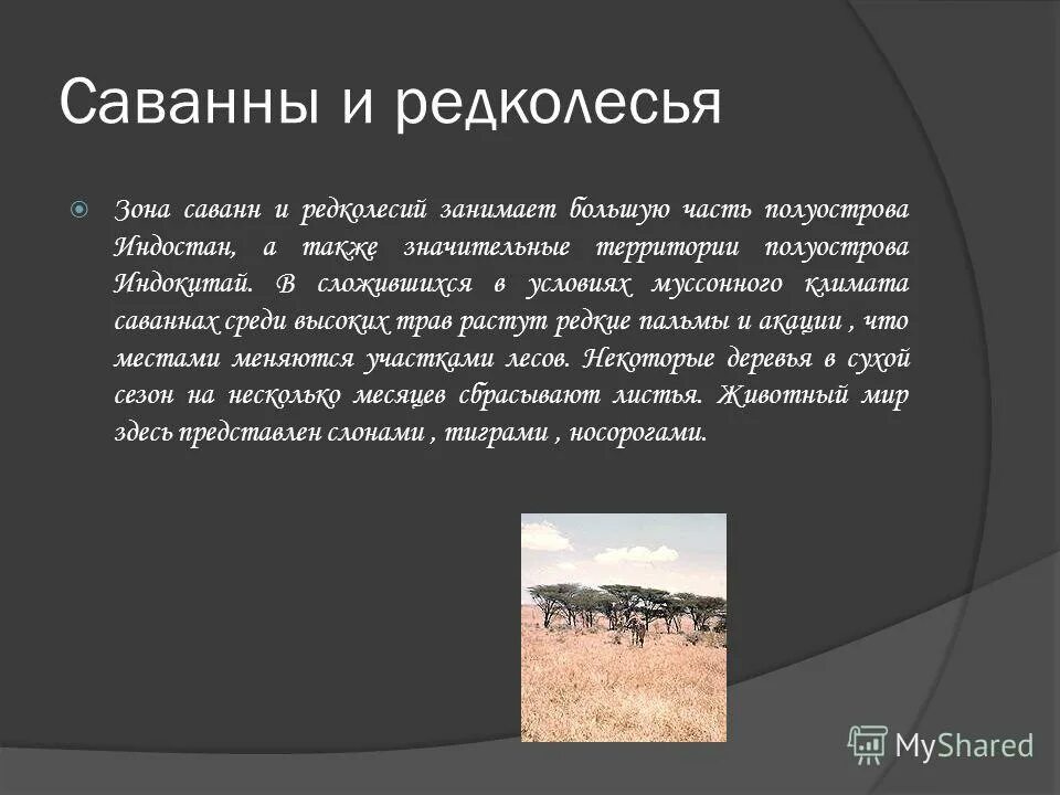 географическое положение саванны и редколесья в евразии. географическое положение саванны. саванны и редколесья географическое положение. географическое положение редколесья в африке. географическое положение саванны в африке.