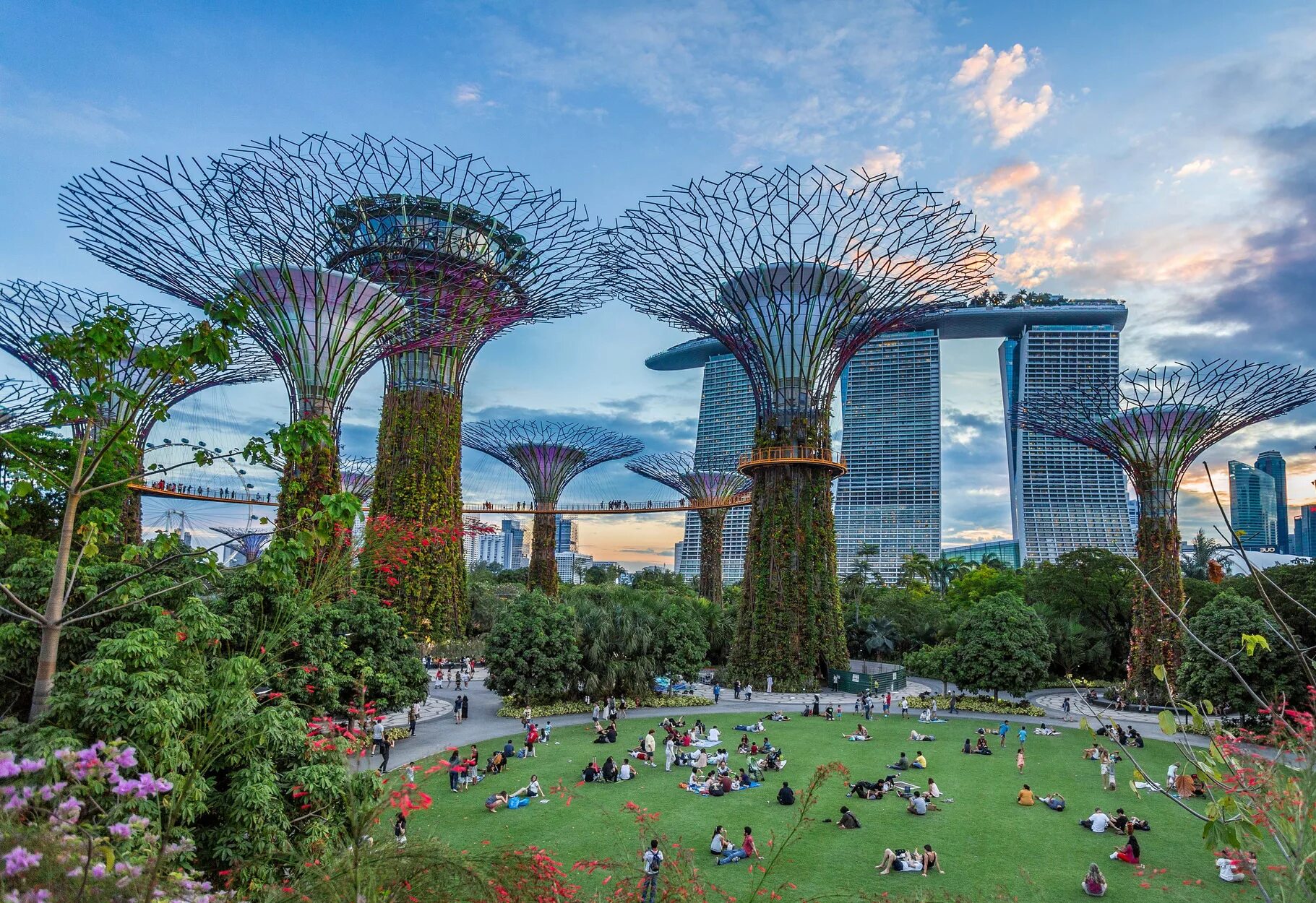 Самый большой парк. Сады у залива (Gardens by the Bay). Футуристический парк «сады у залива», Сингапур. Гарден Сингапур. Сингапур Марина Бэй сад.